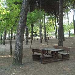 Camprini's - La pineta di Pinarella