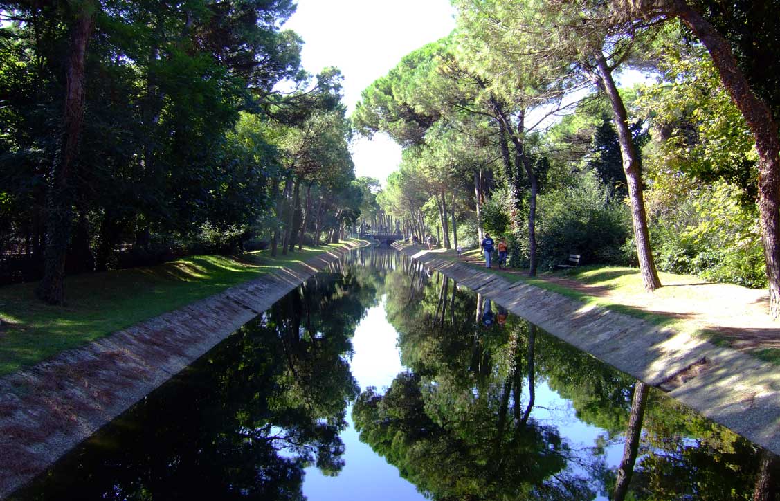 La pineta di Cervia e Milano Marittima